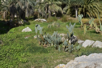 Jardines de Mosen Costa Llobera
