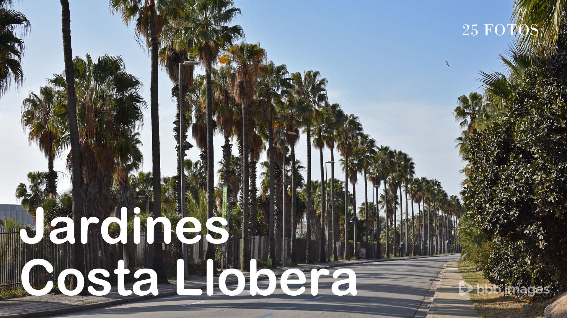 Jardines Costa Llobera 2022